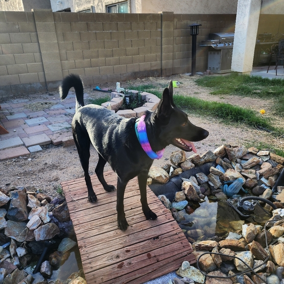 Reusable Neck Cooler Hand Crafted Bandana Non-Toxix Water Beads - Picture 3 of 4
